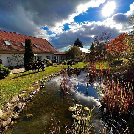 Bed and Breakfast Pilisi Lovas Major, Dorog Exterior foto